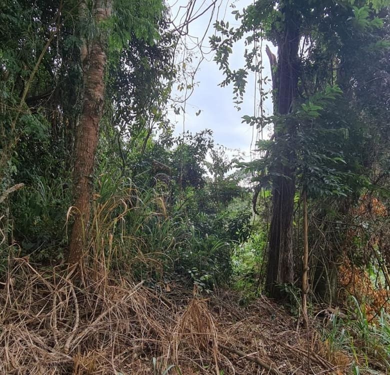 TERRENO PARA VENDA NO CONDOMÍNIO PARQUE DA FAZENDA – ITATIBA/SP
