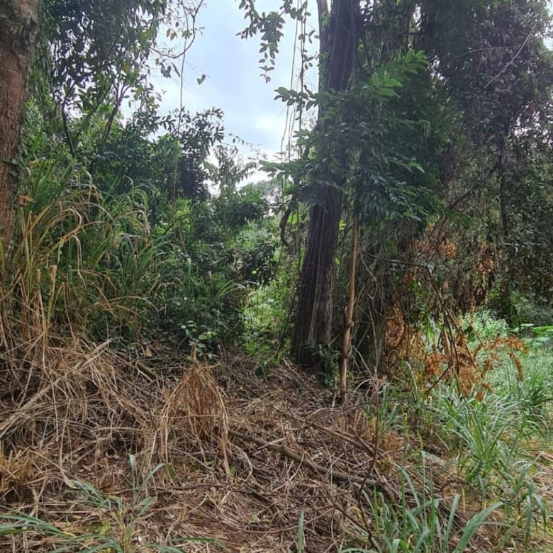 TERRENO PARA VENDA NO CONDOMÍNIO PARQUE DA FAZENDA – ITATIBA/SP
