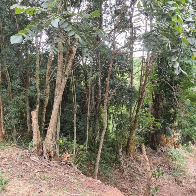 TERRENO PARA VENDA NO CONDOMÍNIO PARQUE DA FAZENDA – ITATIBA/SP