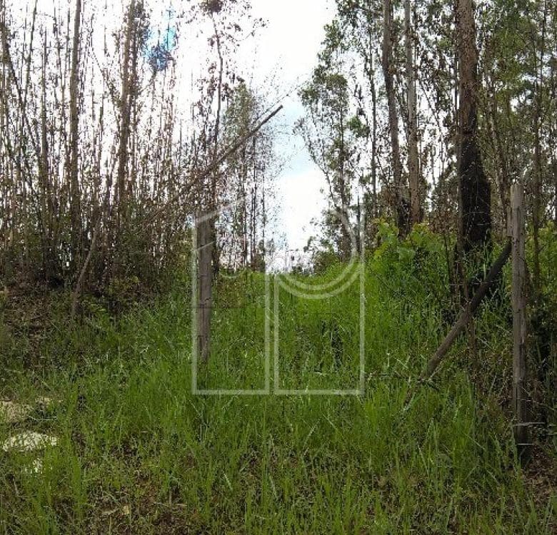 TERRENO PARA VENDA NO BAIRRO CAXAMBU – JUNDIAÍ/SP