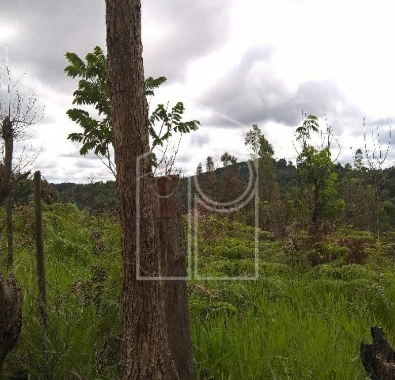 TERRENO PARA VENDA NO BAIRRO CAXAMBU – JUNDIAÍ/SP