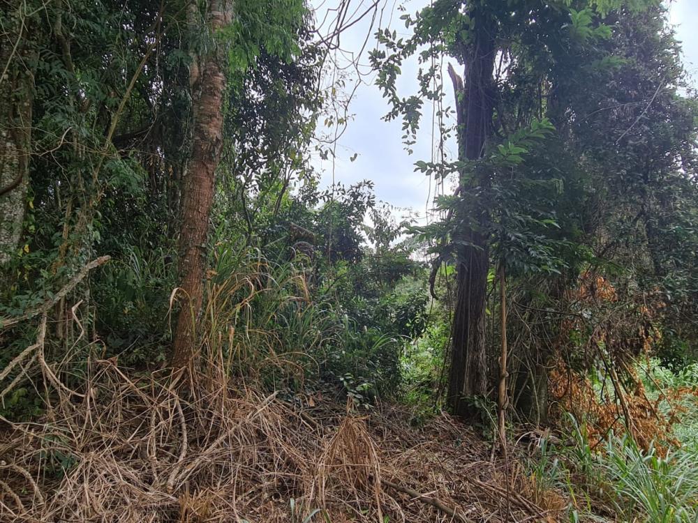 TERRENO PARA VENDA NO CONDOMÍNIO PARQUE DA FAZENDA – ITATIBA/SP