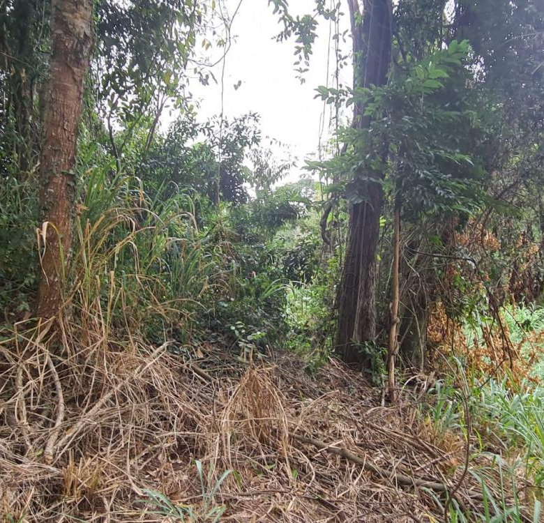 TERRENO PARA VENDA NO CONDOMÍNIO PARQUE DA FAZENDA – ITATIBA/SP