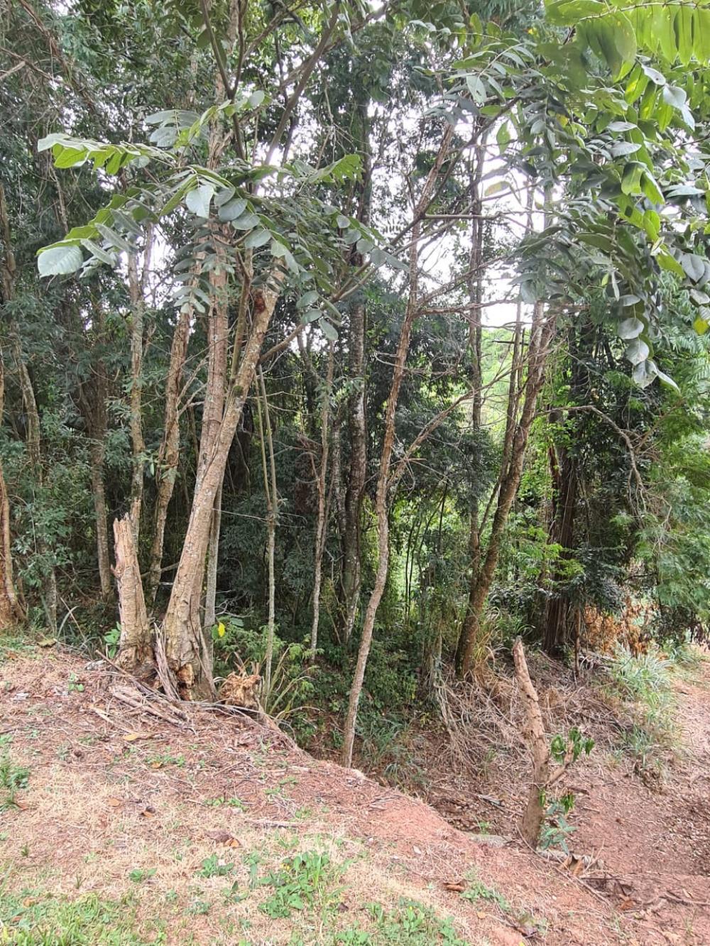 TERRENO PARA VENDA NO CONDOMÍNIO PARQUE DA FAZENDA – ITATIBA/SP