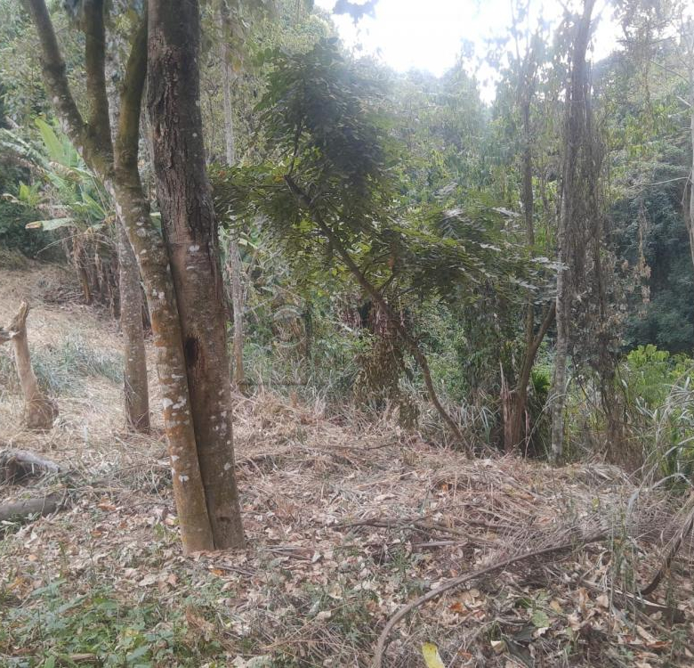 TERRENO PARA VENDA NO CONDOMÍNIO PARQUE DA FAZENDA – ITATIBA/SP