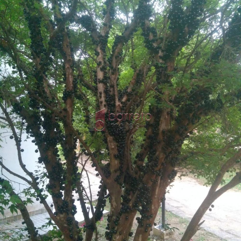 CHÁCARA PARA VENDA NO VISTA ALEGRE – ITUPEVA/SP