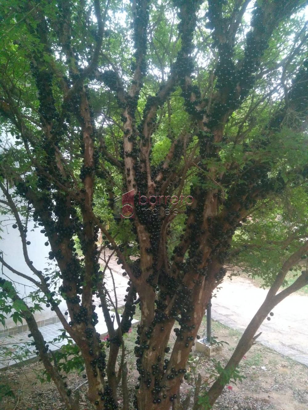 CHÁCARA PARA VENDA NO VISTA ALEGRE – ITUPEVA/SP