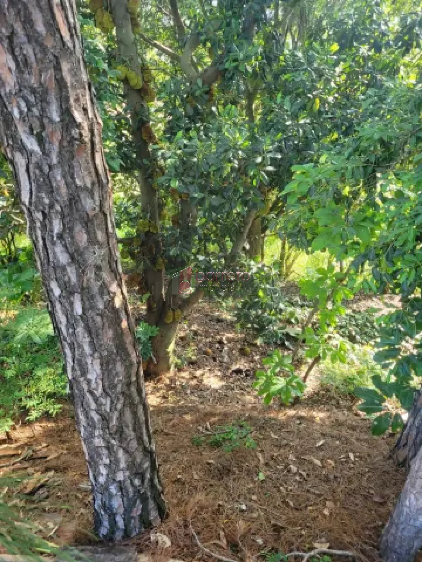 TERRENO PARA VENDA NO JARDIM NOVO MUNDO – JUNDIAÍ/SP