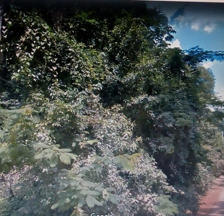 Terreno Padrão em Campo Limpo Paulista