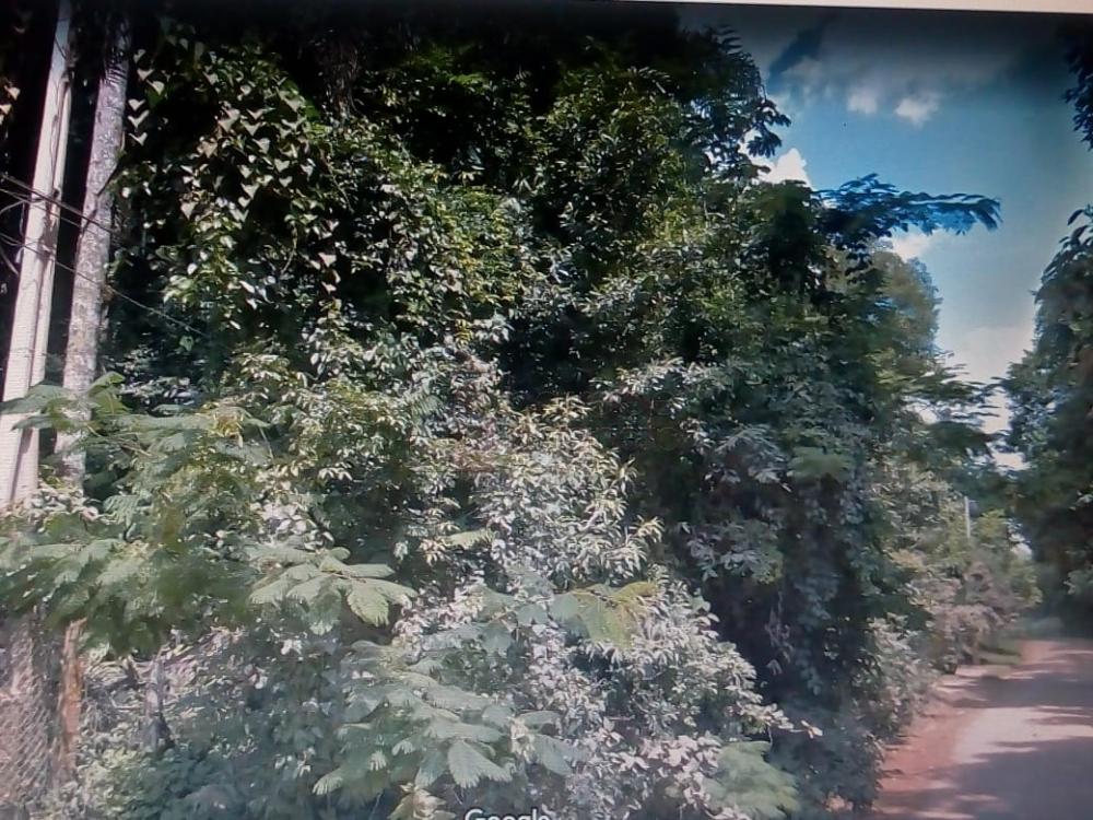 Terreno Padrão em Campo Limpo Paulista