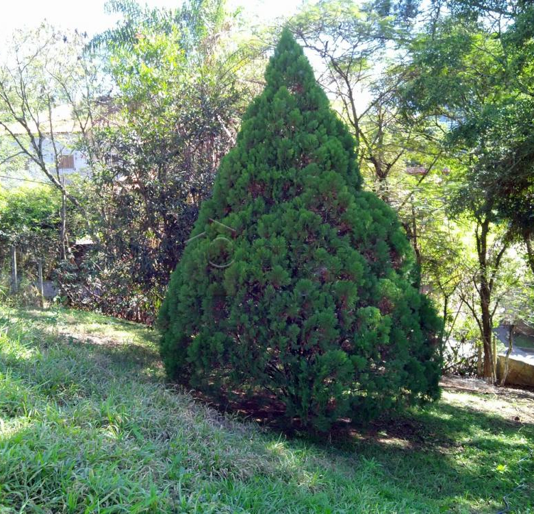 Chácara para venda Pitangal Jarinu SP, divisa com Jundiaí região Caxambu