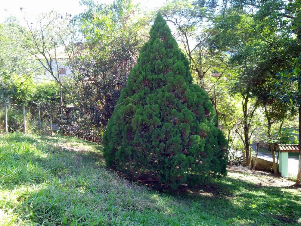 Chácara para venda Pitangal Jarinu SP, divisa com Jundiaí região Caxambu