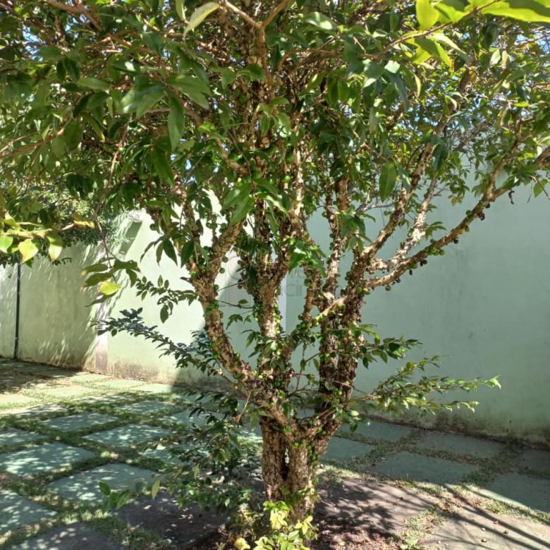CHÁCARA À VENDA NO CONDOMÍNIO HORIZONTE l AZUL- ITUPEVA/SP
