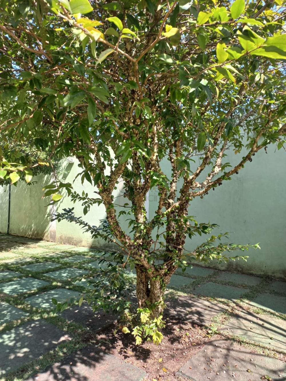 CHÁCARA À VENDA NO CONDOMÍNIO HORIZONTE l AZUL- ITUPEVA/SP