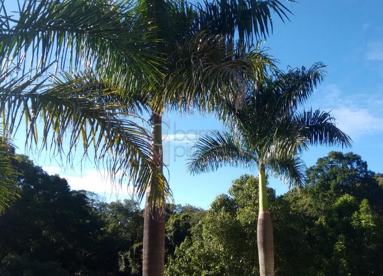 Magnífica residência em condomínio fechado, localizada na cidade de Jundiaí, a 40 minutos de São Paulo.