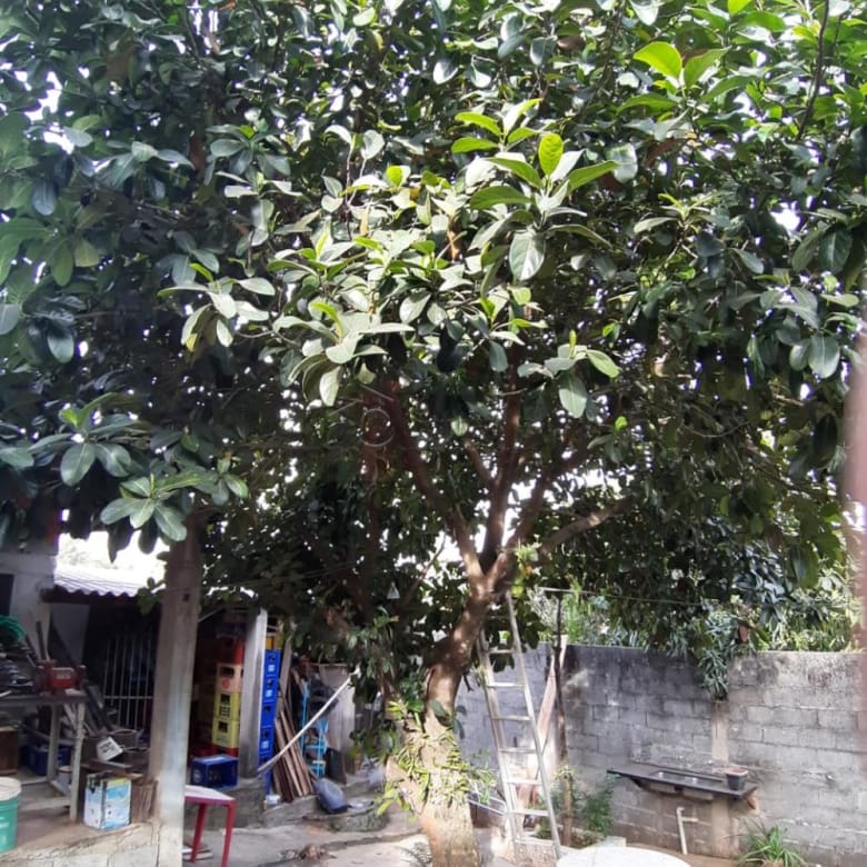 CHÁCARA PARA VENDA NO BAIRRO CHAMPIRRA – JUNDIAÍ/SP