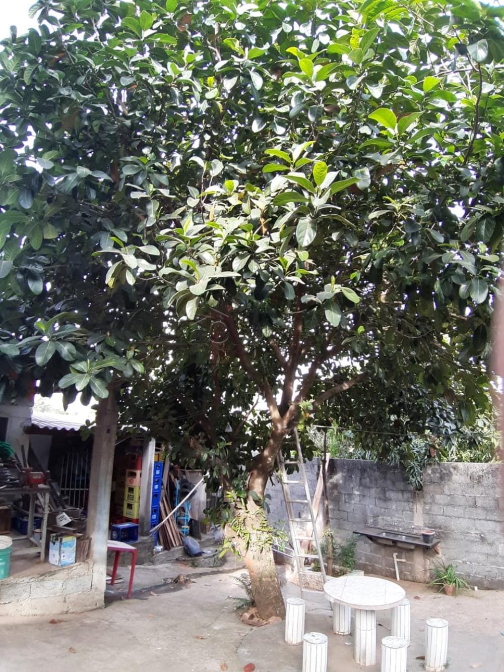 CHÁCARA PARA VENDA NO BAIRRO CHAMPIRRA – JUNDIAÍ/SP