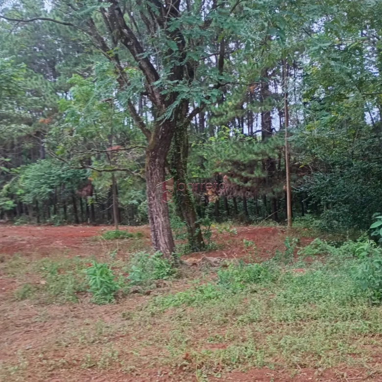 TERRENO PARA LOCAÇÃO NO JUNDIAÍ MIRIM – JUNDIAÍ/SP
