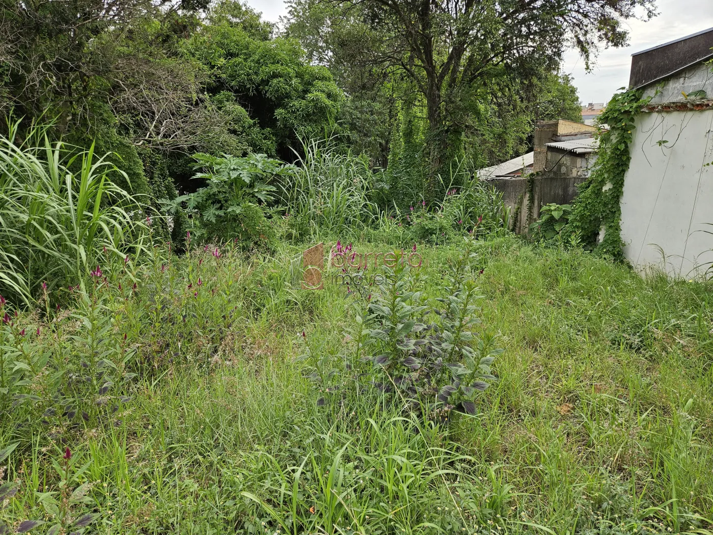 TERRENO À VENDA NO BAIRRO JARDIM PACAEMBU – JUNDIAÍ/SP