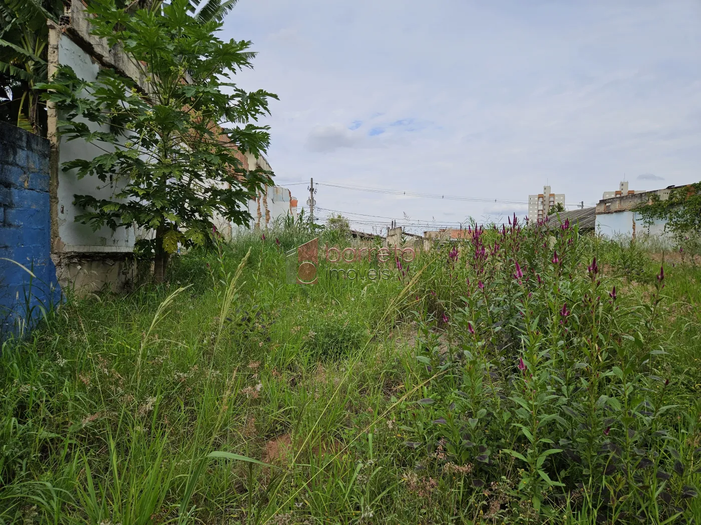 TERRENO À VENDA NO BAIRRO JARDIM PACAEMBU – JUNDIAÍ/SP