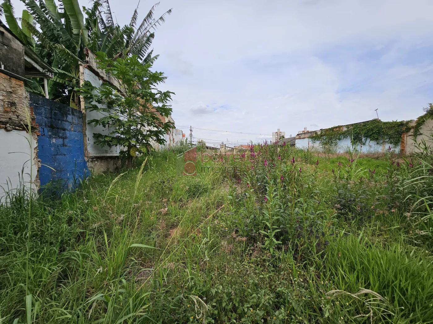 TERRENO À VENDA NO BAIRRO JARDIM PACAEMBU – JUNDIAÍ/SP