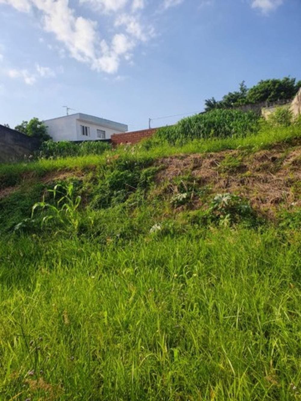 jundiai-terreno-padrao-jardim-paulista-i-02-03-2022_13-32-39-1