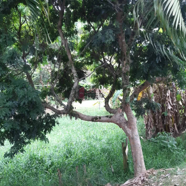 CHÁCARA À VENDA NO BAIRRO ABADIA EM LOUVEIRA/SP
