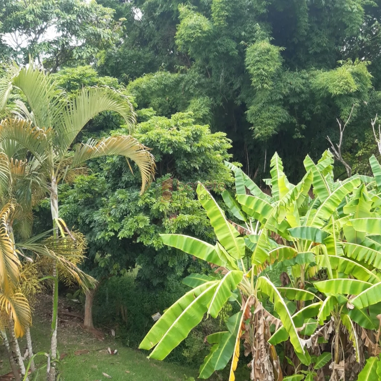 CHÁCARA À VENDA NO BAIRRO ABADIA EM LOUVEIRA/SP