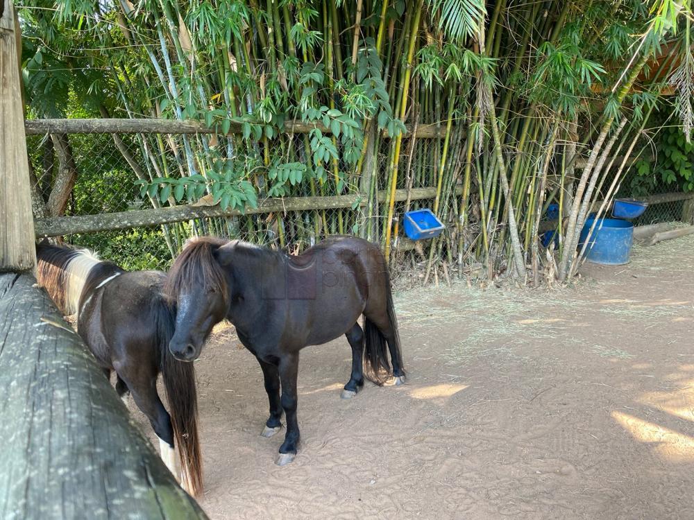 CASA SOBRADO À VENDA NO CONDOMÍNIO NATURE VILLAGE II – BAIRRO ELOY CHAVES – JUNDIAÍ/SP