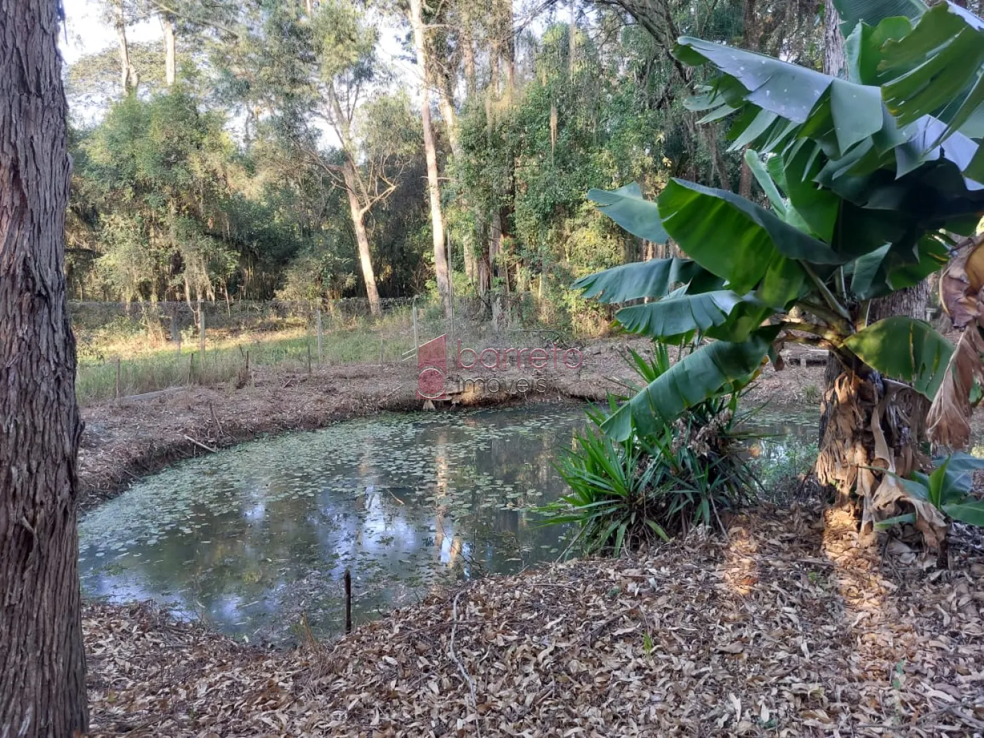 CHÁCARA PARA VENDA NO BAIRRO DA MINA – ITUPEVA/SP