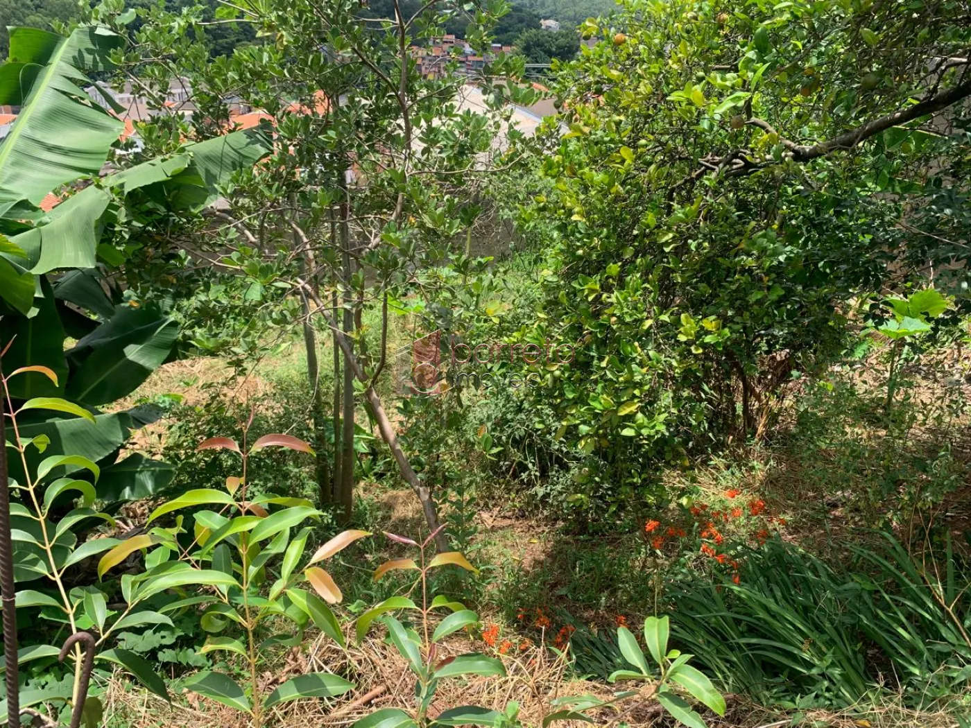 TERRENO À VENDA NO PARQUE GUARANI EM VÁRZEA PAULISTA/SP