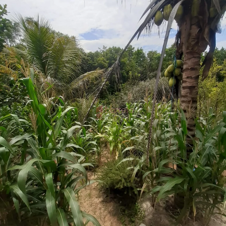 CASA À VENDA NO JARDIM ITÁLIA EM ITUPEVA/SP
