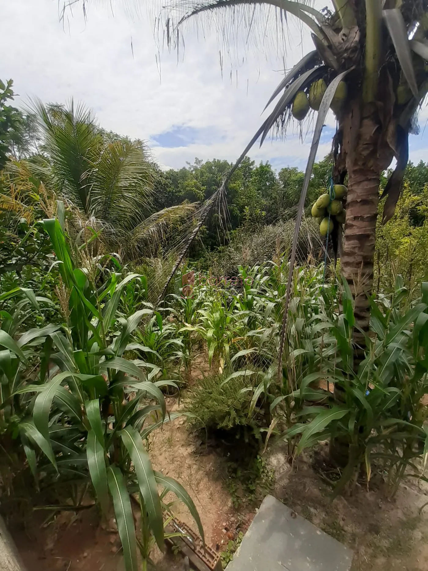 CASA À VENDA NO JARDIM ITÁLIA EM ITUPEVA/SP