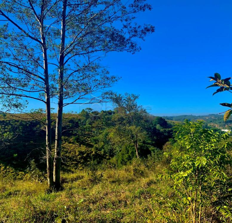 SÍTIO À VENDA NA REGIÃO DO BAIRRO RIO ACIMA EM JUNDIAÍ/SP