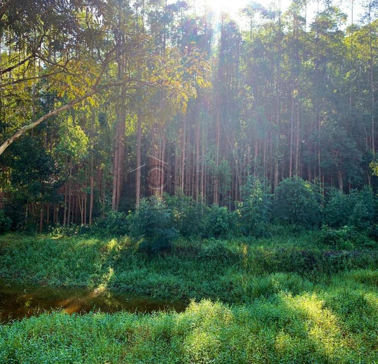 SÍTIO À VENDA NA REGIÃO DO BAIRRO RIO ACIMA EM JUNDIAÍ/SP