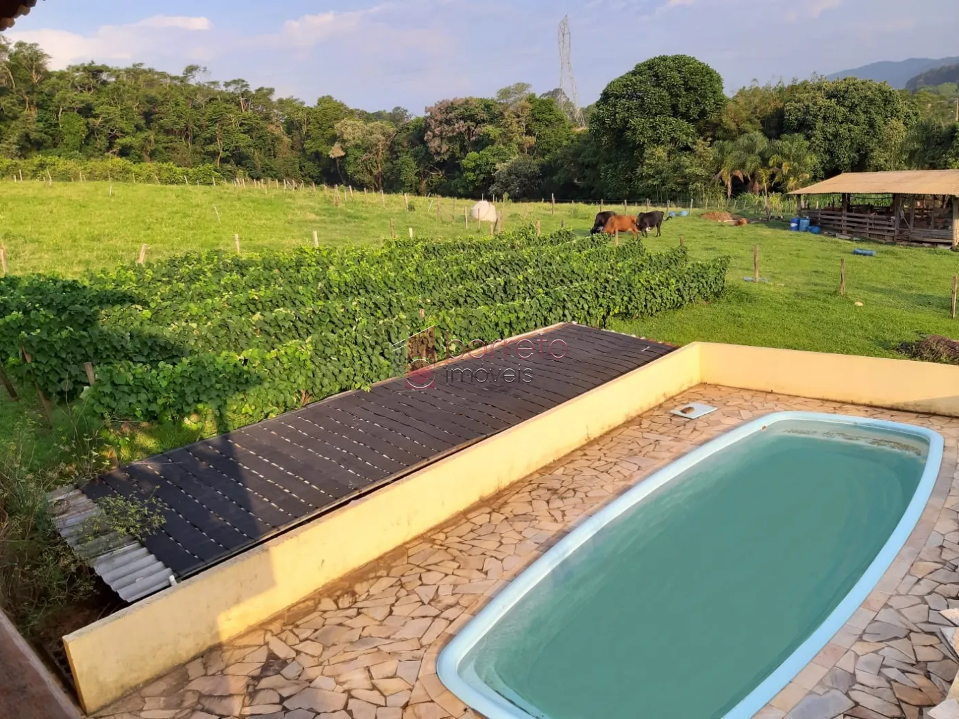 SÍTIO COM 69.000 M² À VENDA NO BAIRO CÁI EM CABREÚVA/SP