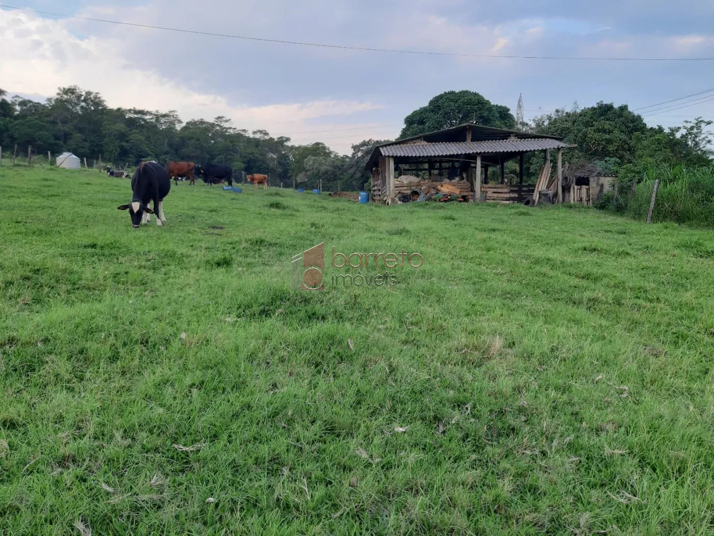 SÍTIO COM 69.000 M² À VENDA NO BAIRO CÁI EM CABREÚVA/SP