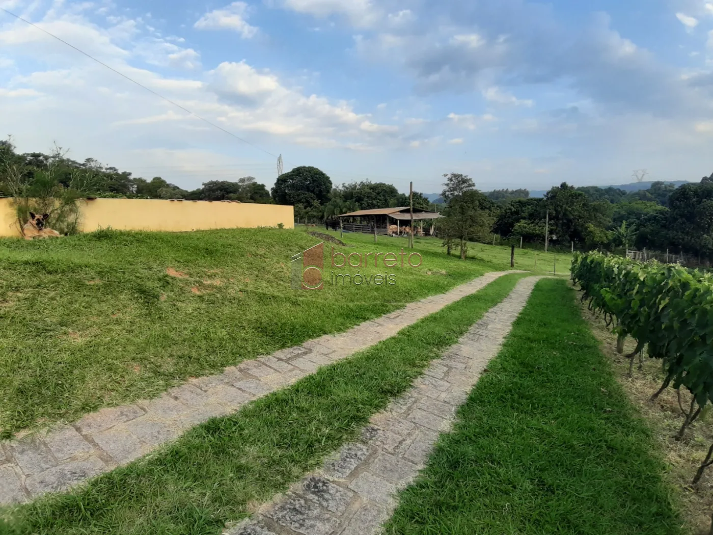 SÍTIO COM 69.000 M² À VENDA NO BAIRO CÁI EM CABREÚVA/SP