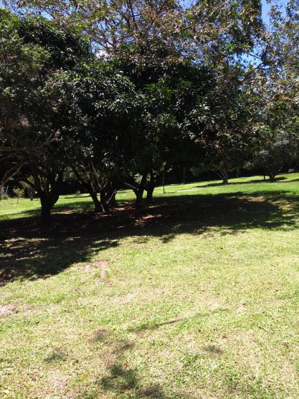 FAZENDA SANTA MARIA PARA VENDA NO BAIRRO CURURU – CABREÚVA/SP