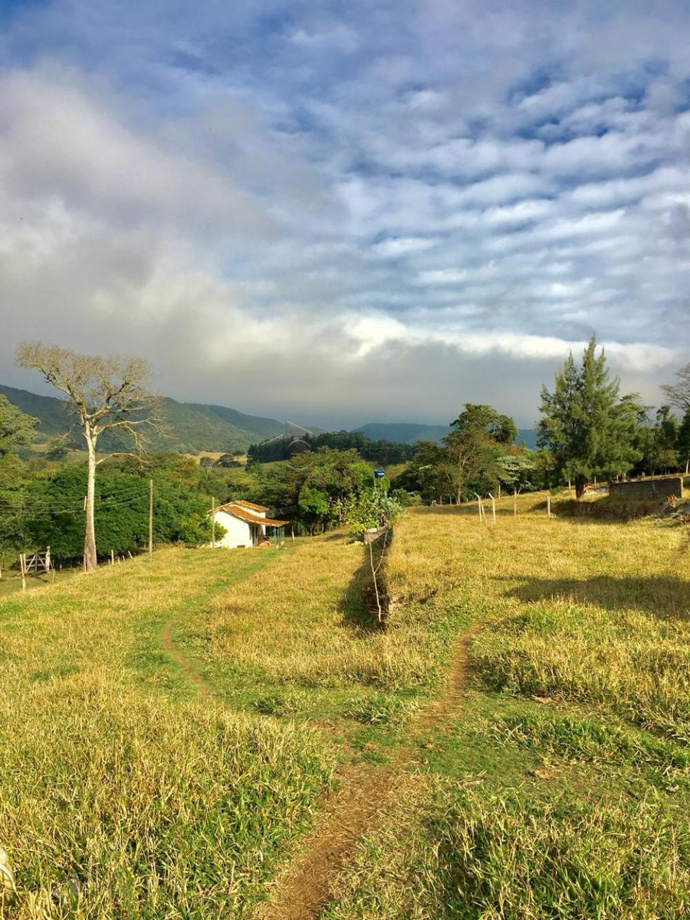 FAZENDA SANTA MARIA PARA VENDA NO BAIRRO CURURU – CABREÚVA/SP