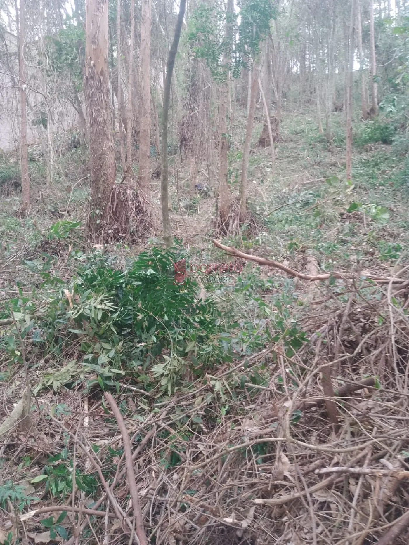 TERRENO À VENDA NO CONDOMÍNIO CAPITAL VILLE I – JUNDIAÍ / CAJAMAR/SP