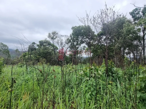 TERRENO PARA FORMAÇÃO DE CHÁCARA À VENDA NO LOTEAMENTO BOSQUES DO MOINHO – CAMPO LIMPO PAULISTA/SP