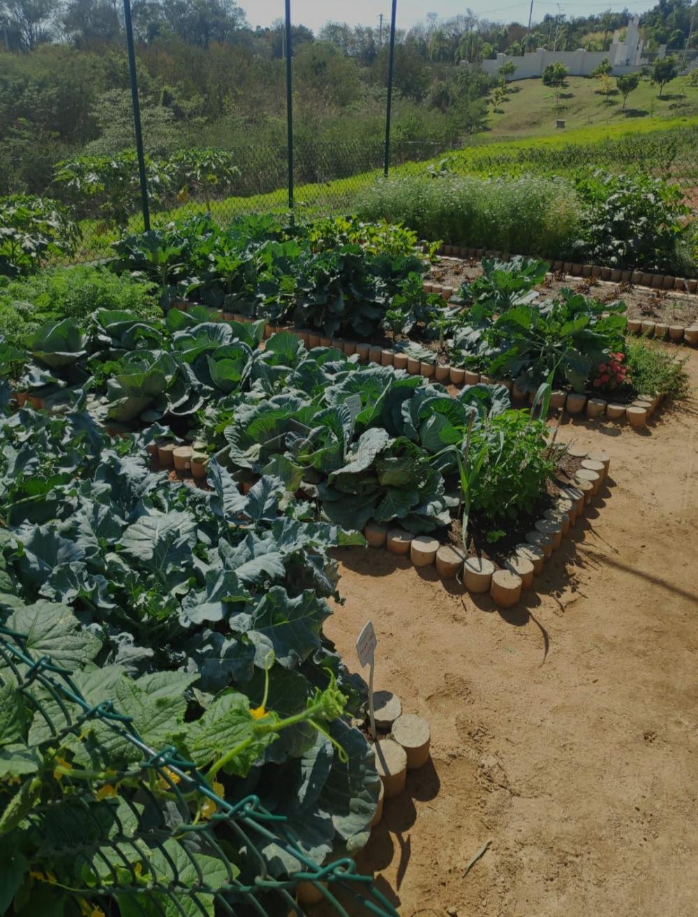 TERRENO PARA VENDA NO BAIRRO CENTRO – ITUPEVA/SP