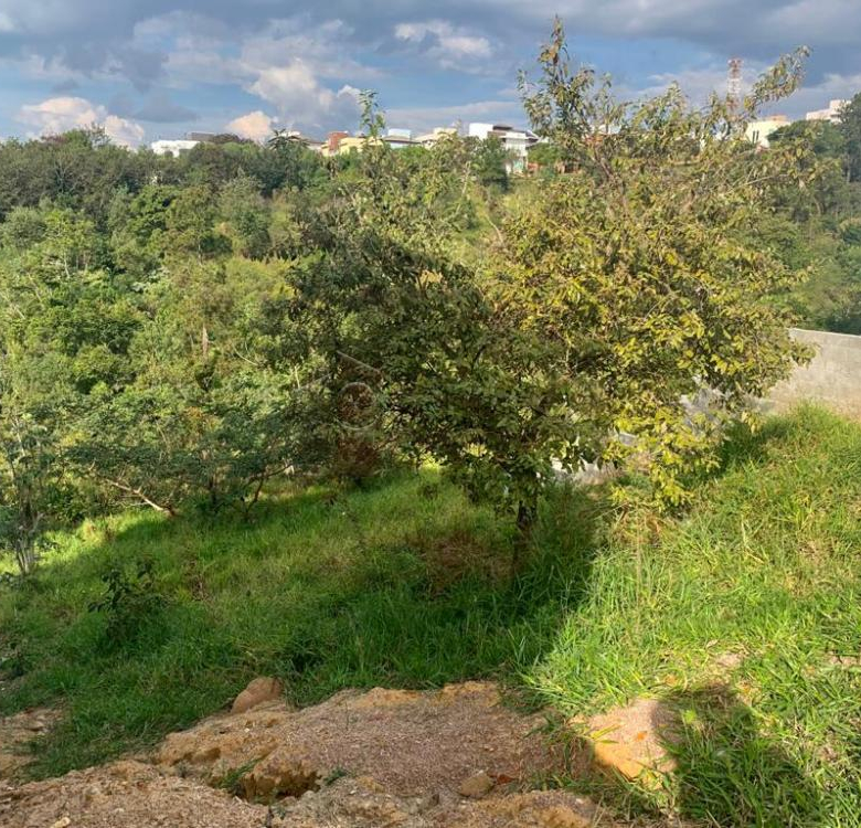 TERRENO PARA VENDA NO CONDOMÍNIO PHYTUS – CABREÚVA/SP