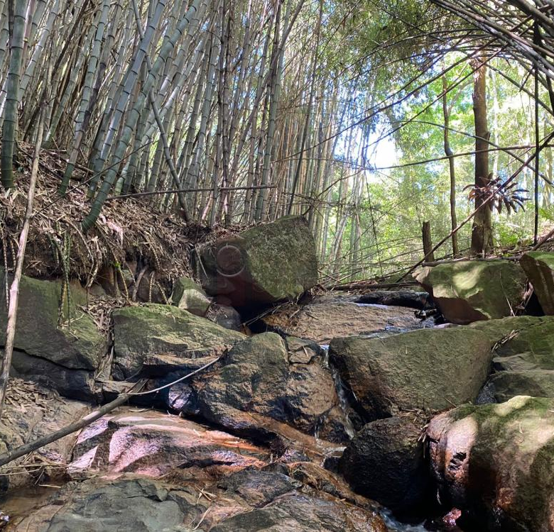 TERRENO À VENDA NO CAFEZAL – ITUPEVA/SP.