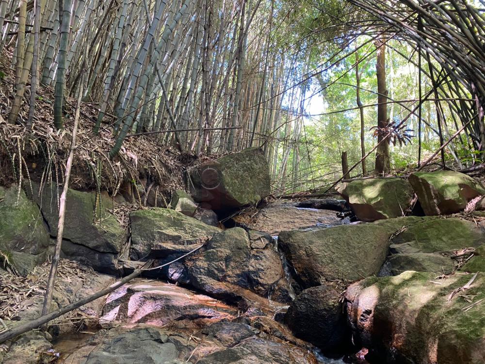 TERRENO À VENDA NO CAFEZAL – ITUPEVA/SP.