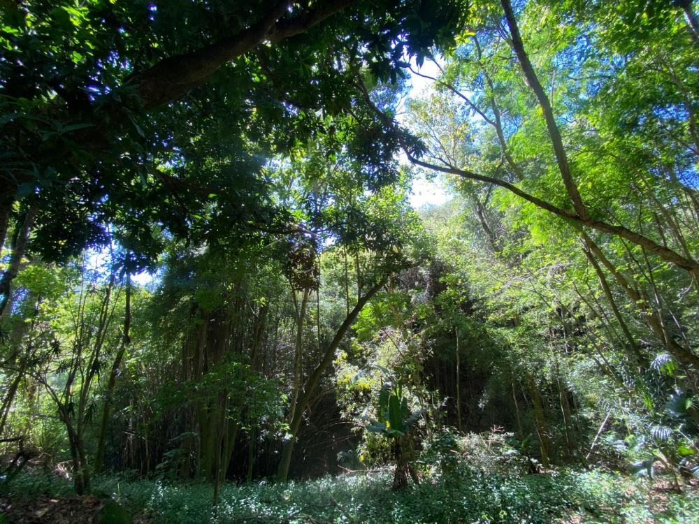 TERRENO À VENDA NO CAFEZAL – ITUPEVA/SP.