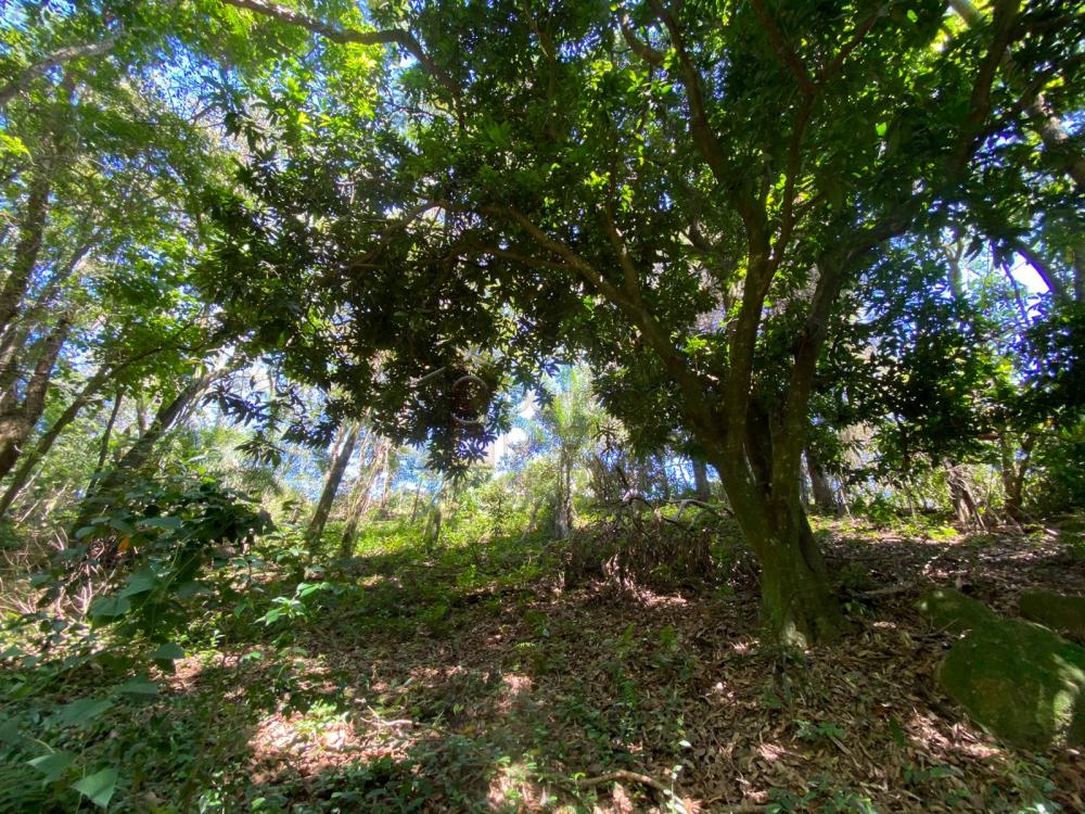 TERRENO À VENDA NO CAFEZAL – ITUPEVA/SP.