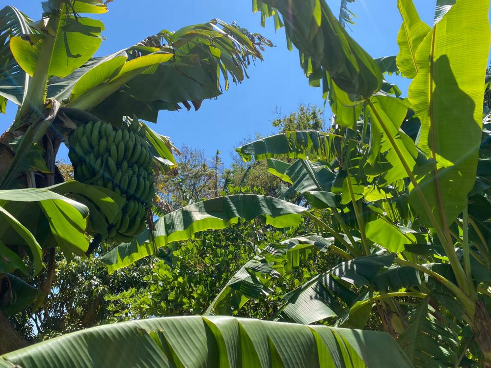 TERRENO À VENDA NO CAFEZAL – ITUPEVA/SP.