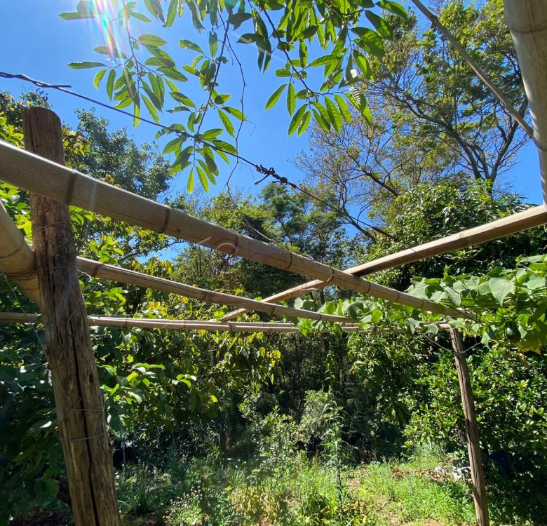TERRENO À VENDA NO CAFEZAL – ITUPEVA/SP.